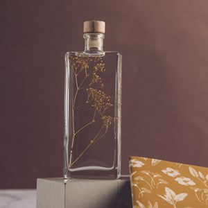 Plante immergée gypsophile or h17