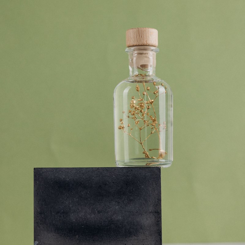 Plante immergée gypsophile or h10