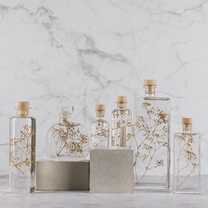 Plante immergée gypsophile or h23