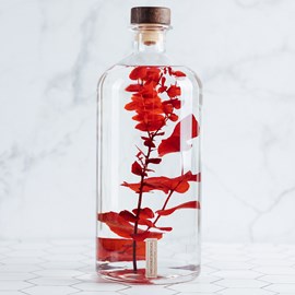 Eucalyptus rouge immergée - la jarre 3l