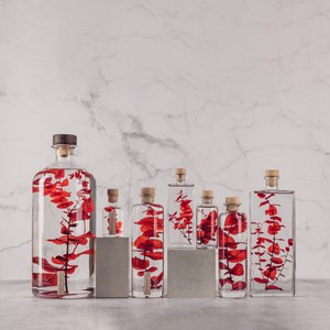 Eucalyptus rouge immergée - la jarre 3l