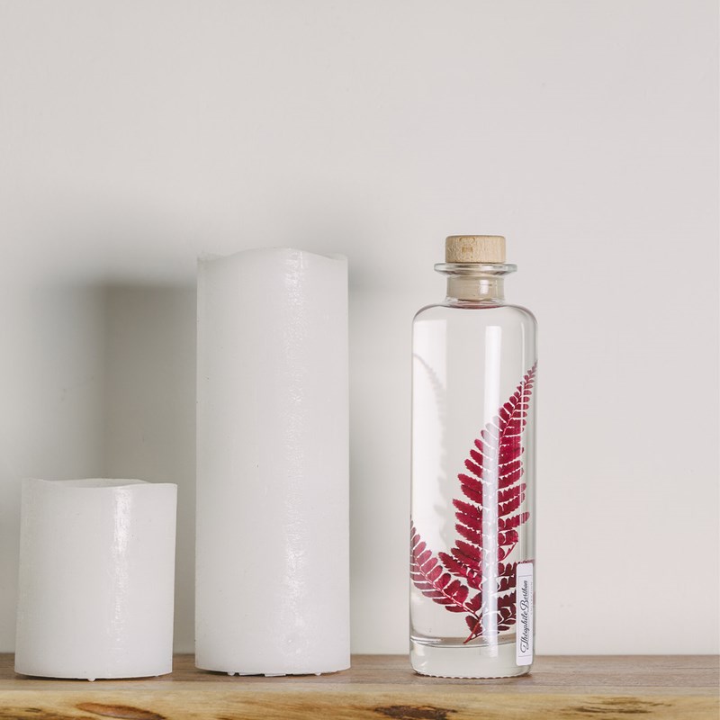 Théophile berthon 1867 - Plante immergée rumohra rouge h21