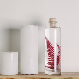 Plante immergée rumohra rouge h23