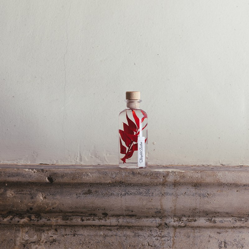 Plante immergée ruscus rouge h12