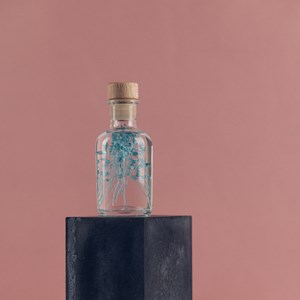 Plante immergée broom bleu turquoise h10