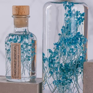 Plante immergée broom bleu turquoise h10