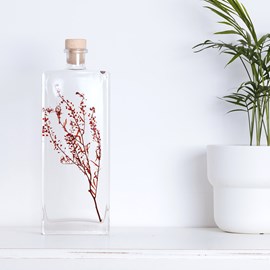 Plante immergée lepidium rouge h26