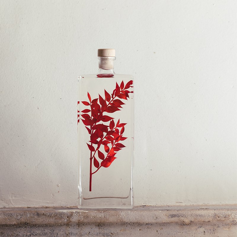 Théophile berthon 1867 - Plante immergée ruscus rouge h26