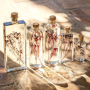 Plante immergée broom bloom rouge h26