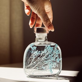 Capsule botanique broom bleu turquoise