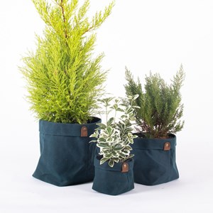 Set de 3 caches pot planter bleu ombre