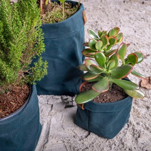 Set de 3 caches pot planter bleu ombre