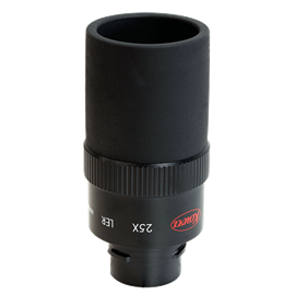 Oculaire 25x ler