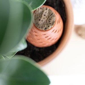 Poto le diffuseur d'eau - olla 35 cl