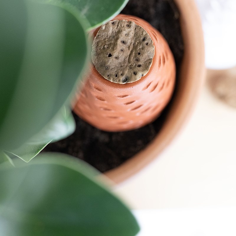 Transfarmers - Poto le diffuseur d'eau - olla 35 cl