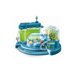 La cité des fourmis