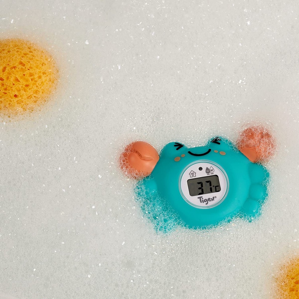 Thermomètre de bain digital crabe pour