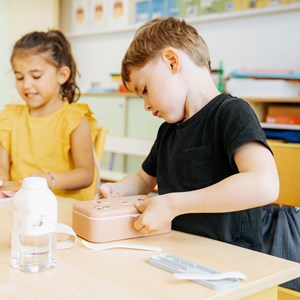 Lunch box enfant 500ml renard