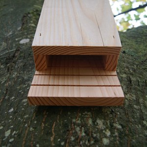 Maison chauve-souris en douglas