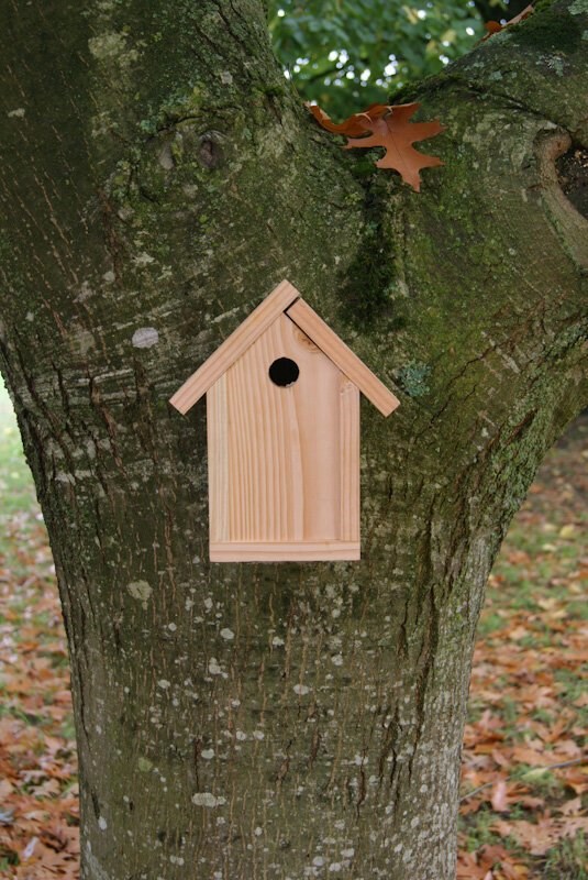 Le Livet - Nichoir oiseau ouverture 28mm douglas
