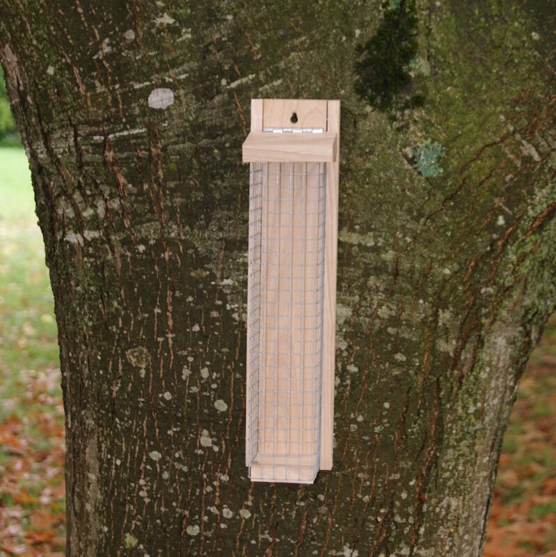 Le Livet - Mangeoire oiseau gm en châtaignier