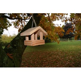 Mangeoire oiseau le déjeuner douglas