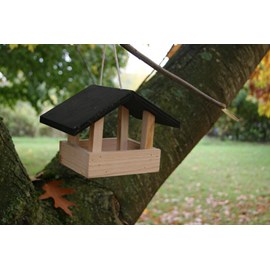 Mangeoire oiseau le déjeuner châtaignier