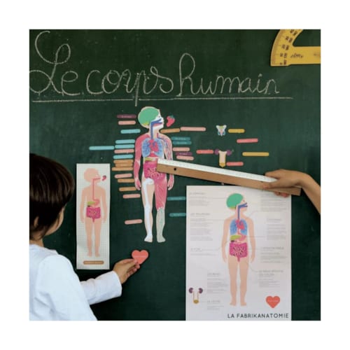 La cabane à rêves - Magnets le corps humain
