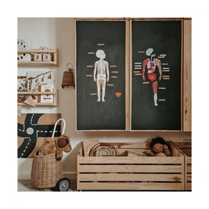 Magnets le corps humain