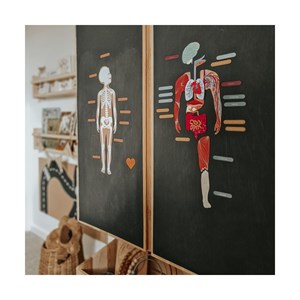 Magnets le corps humain