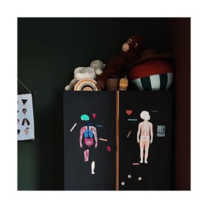 Magnets le corps humain