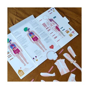 Magnets le corps humain