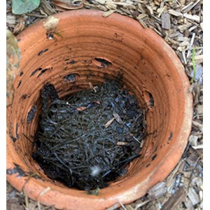 Lombricomposteur à enterrer -   9 l