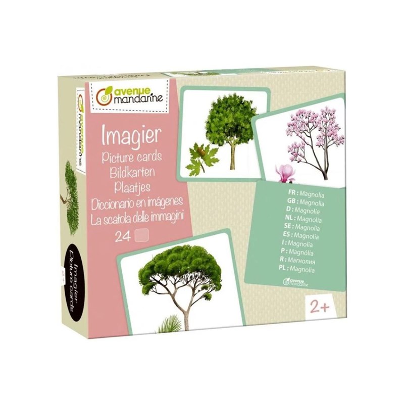 Avenue Mandarine - Imagier des arbres