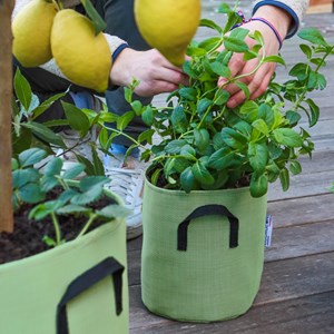 Pot en géotextile respirant jaune - 15cm