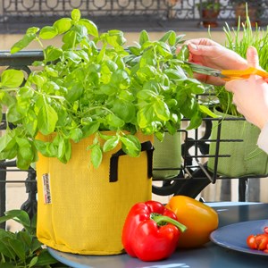 Pot en géotextile respirant bleu - 15cm