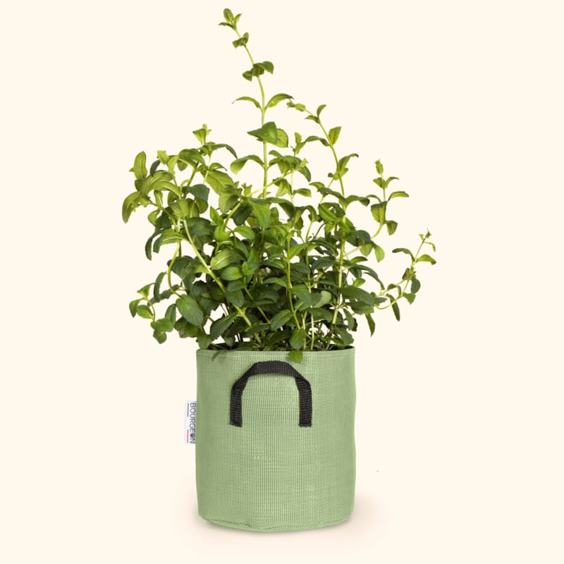 Bourgeon - Pot en géotextile respirant vert - 20cm