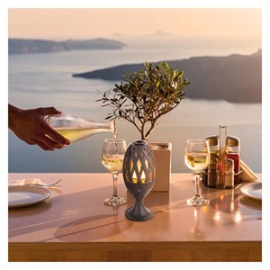 Pack 4 lampes de jardin effet flamme bom
