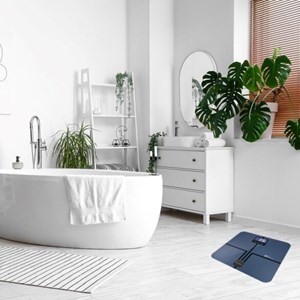 Master coach ultra - balance  wifi