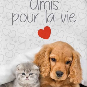 Housse bouillotte polaire 21x34 cm migno