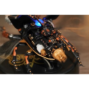 Maquette mécanique - le scarabée