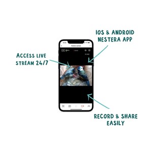 Nichoir avec caméra wifi