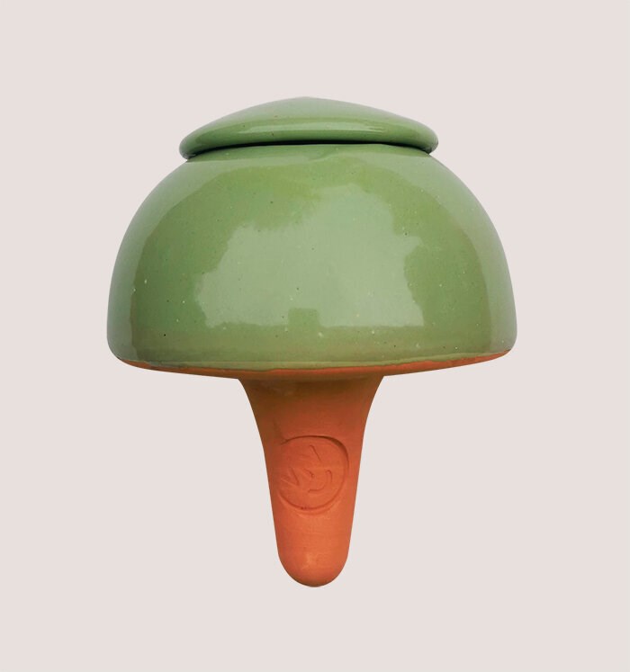 Le Vivant - Champi bolé vert olive