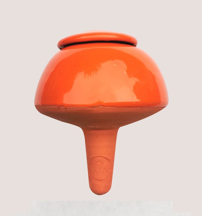 Le Vivant - Champi bolé orange