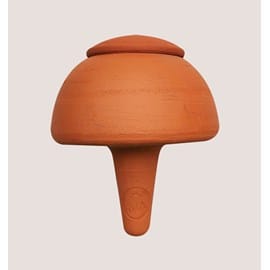 Champi bolé terracotta