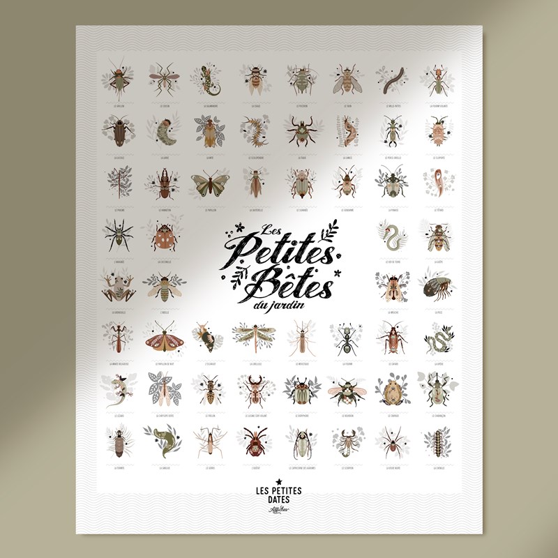 Affiche les petites bêtes du jardin (Les Petites Dates) - Image 2