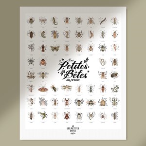 Affiche les petites bêtes du jardin