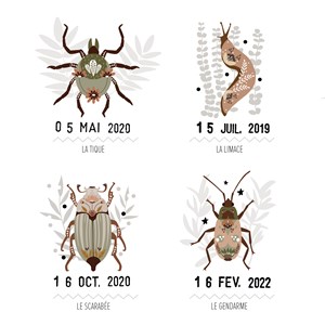 Affiche les petites bêtes de la mer