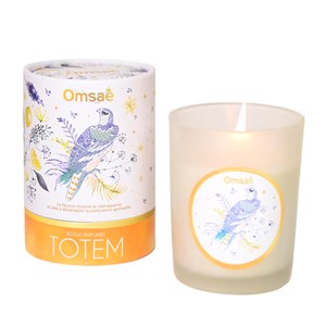 Bougie totem le faucon