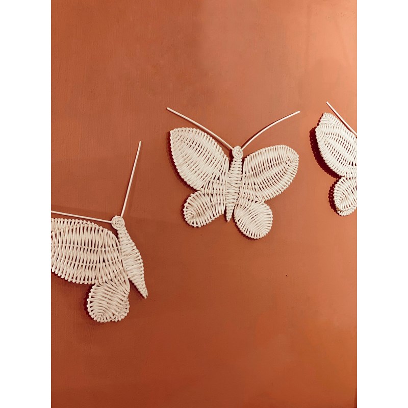 Set de papillons en rotin